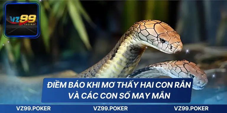 Điềm Báo Khi Mơ Thấy Hai Con Rắn Và Các Con Số May Mắn