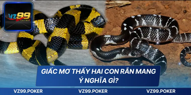 Giấc mơ thấy hai con rắn mang ý nghĩa gì?