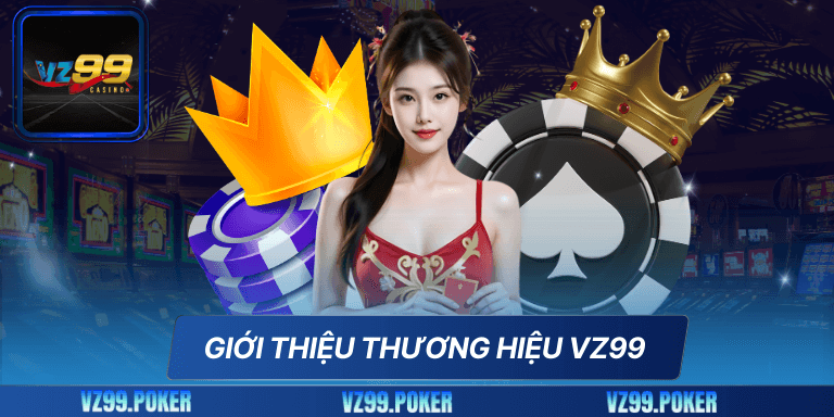 Thương Hiệu VZ99 4 Giới thiệu thương hiệu VZ99