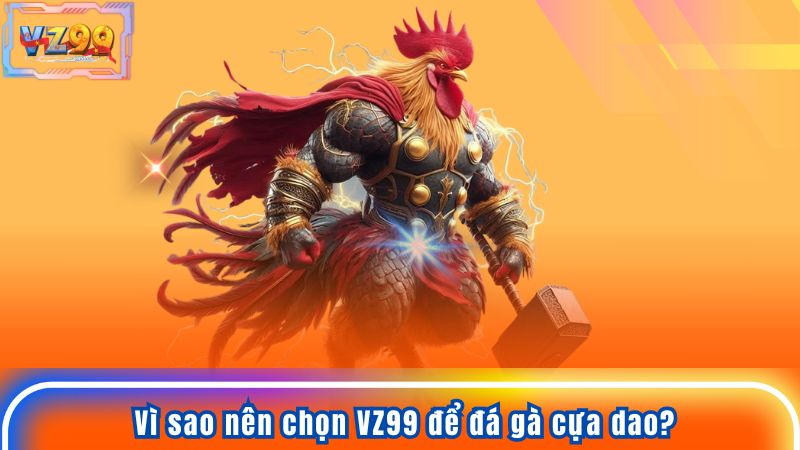 Vì sao nên chọn VZ99 để đá gà cựa dao?